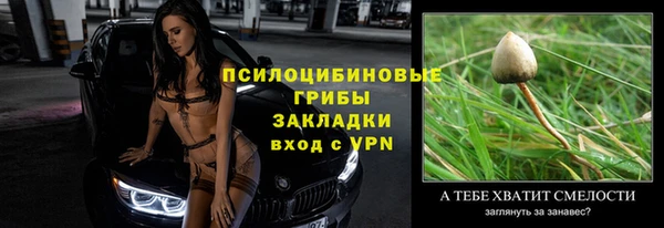 винт Арсеньев
