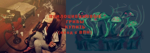 винт Арсеньев