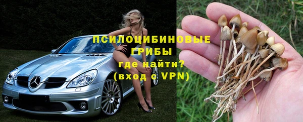 прущий лед Аркадак