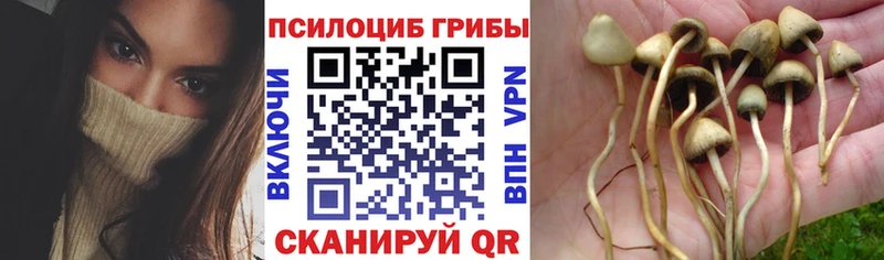 Купить закладки  Маркс  Псилоцибиновые грибы ЛСД 